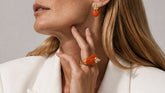 Happy Frog Luxury Capsule 2026: when rarity becomes a jewel