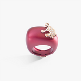 ANELLO HAPPY FROG BASE MEDIA