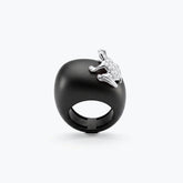 ANELLO HAPPY FROG ICON IN TITANIO