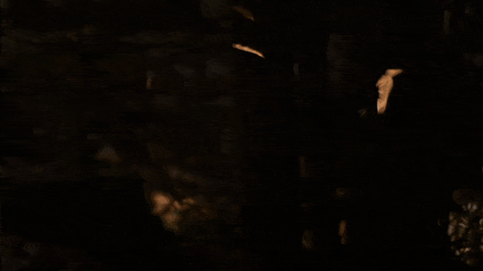 Elika: un legame che danza nel tempo - Dada Arrigoni