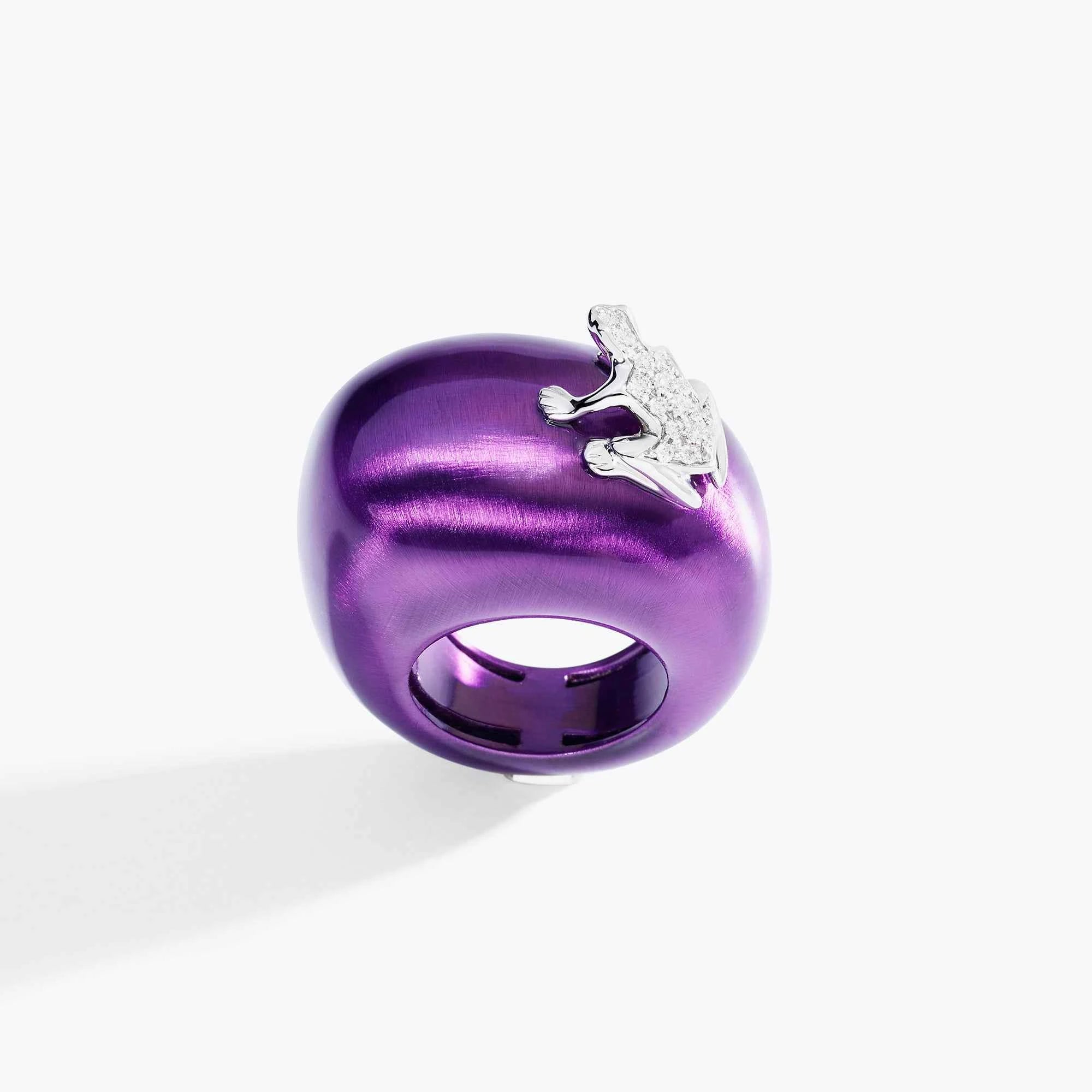 ANELLO HAPPY FROG BASE MEDIA