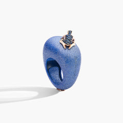 ANELLO HAPPY FROG BASE MEDIA