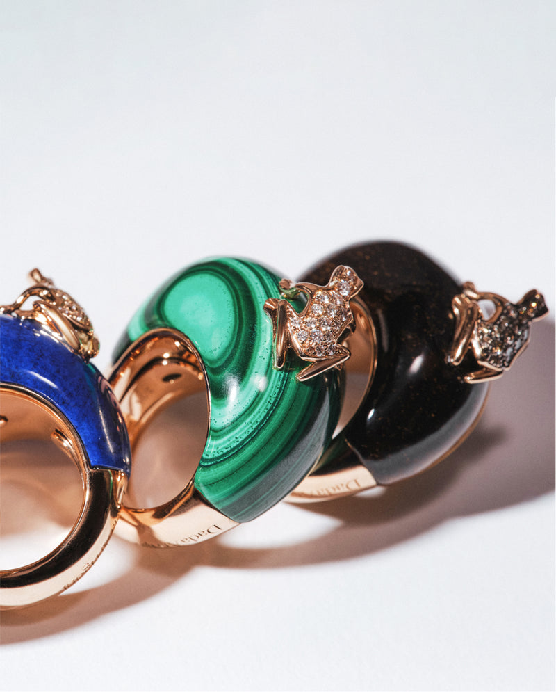 Happy Frog Stone, la nuova special edition