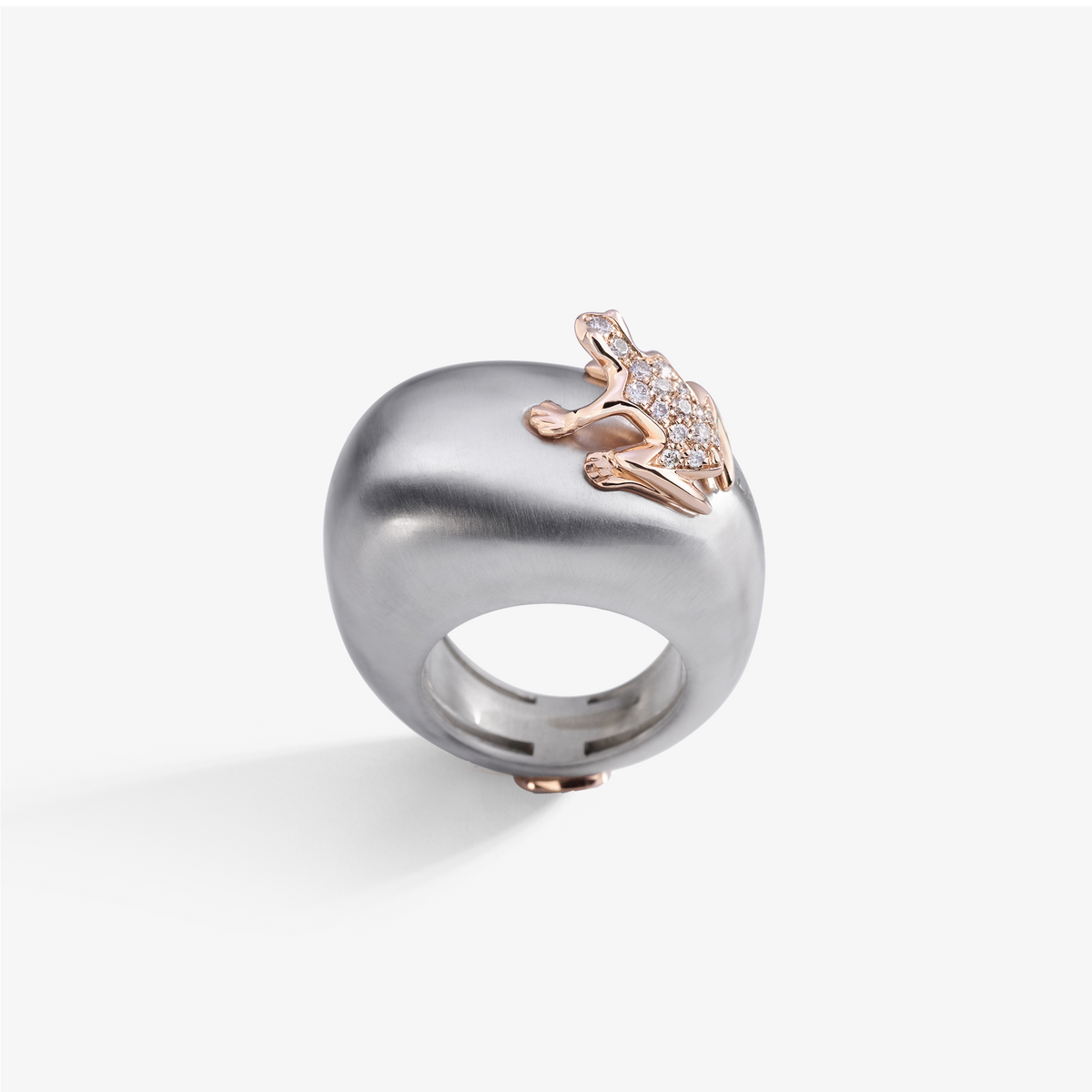 ANELLO HAPPY FROG BASE MEDIA