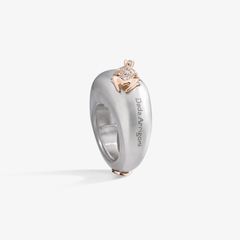 ANELLO HAPPY FROG BASE MEDIA