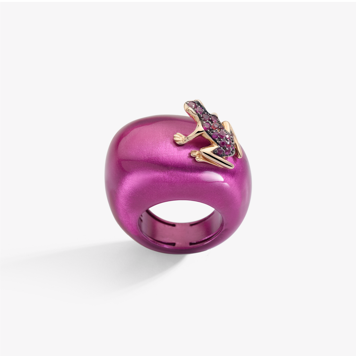 ANELLO HAPPY FROG ICON