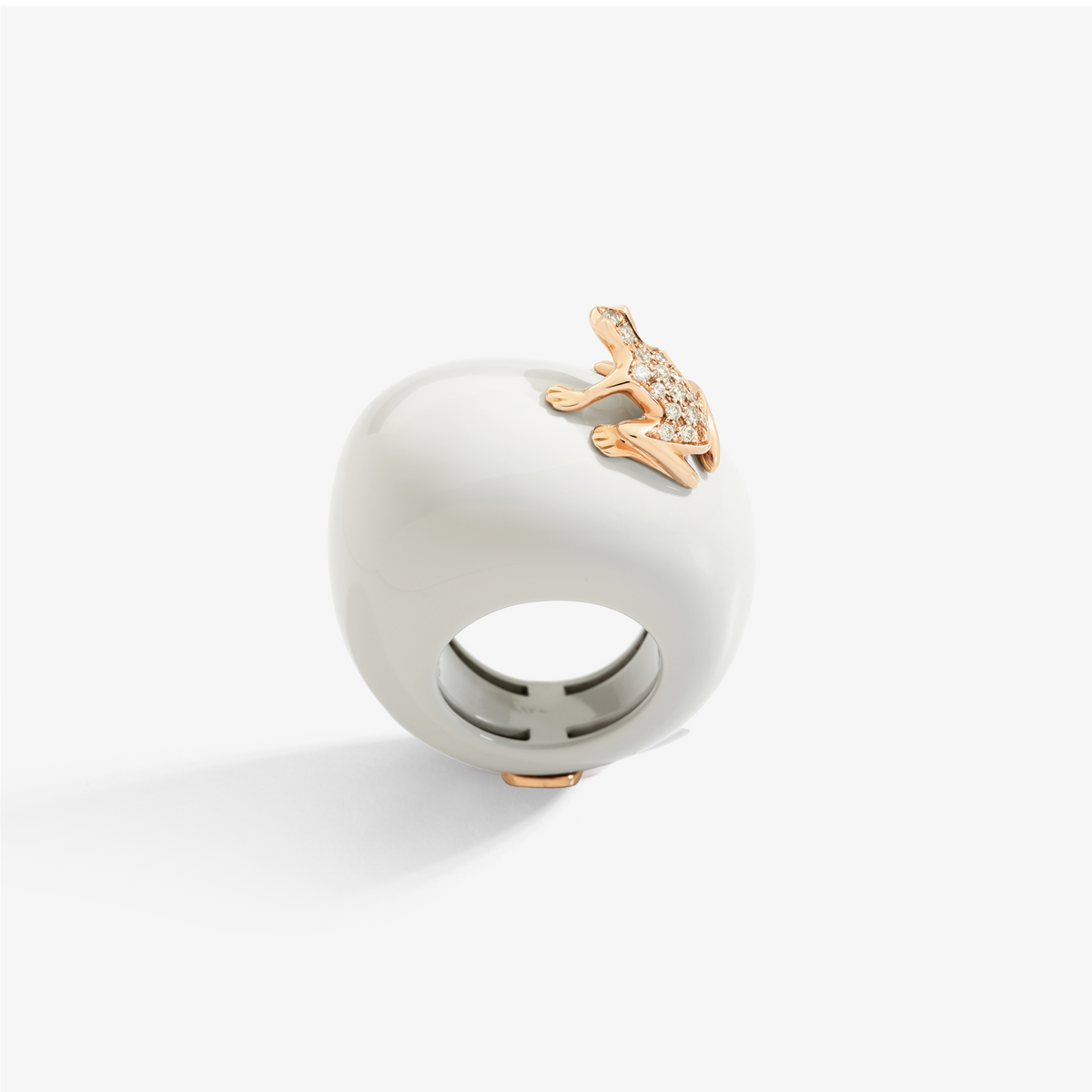ANELLO HAPPY FROG BASE MEDIA