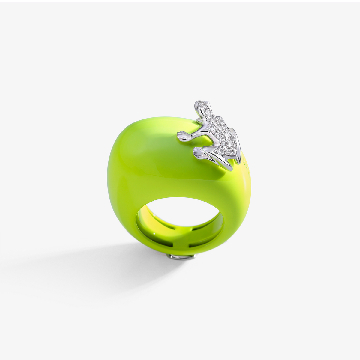 ANELLO HAPPY FROG BASE MEDIA