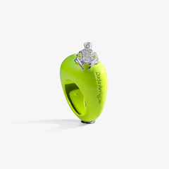 ANELLO HAPPY FROG BASE MEDIA