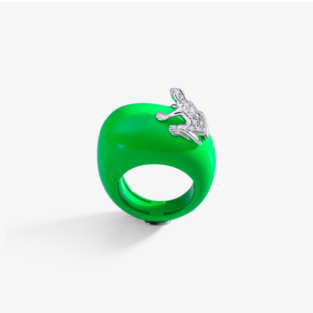 ANELLO HAPPY FROG BASE MEDIA