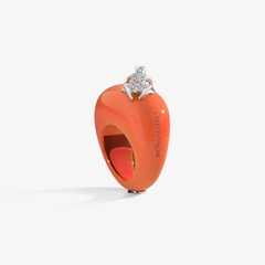 ANELLO HAPPY FROG BASE MEDIA