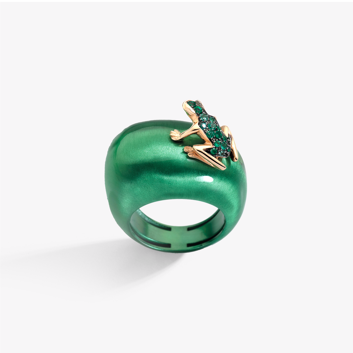 ANELLO HAPPY FROG BASE MEDIA