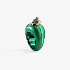 ANELLO HAPPY FROG BASE MEDIA