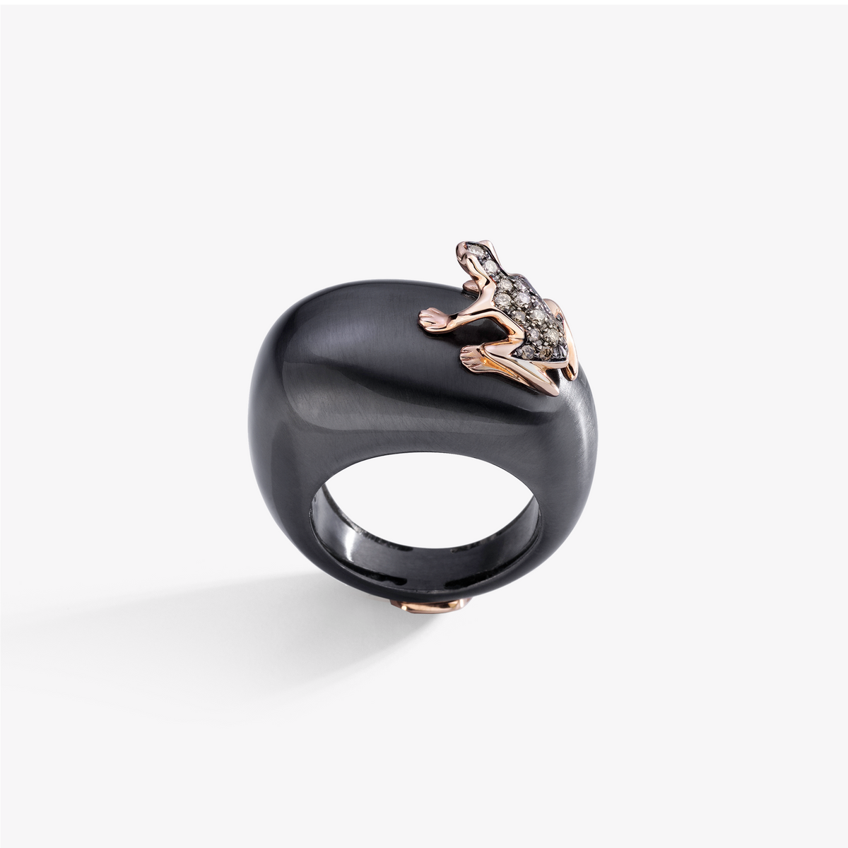 ANELLO HAPPY FROG BASE MEDIA