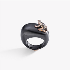 ANELLO HAPPY FROG BASE MEDIA
